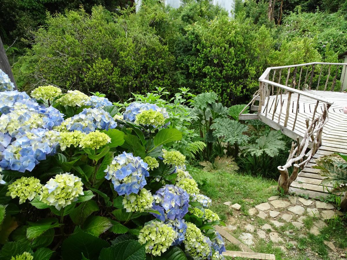 Cabañas Las Hortensias Hotel Niebla Exterior foto